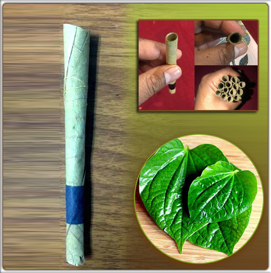 Paan Flavour Blunts Wraps Pre Rolled