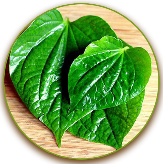 Paan