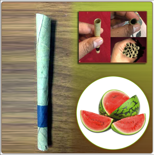 Watermelon Flavour Blunts Wraps Pre Rolled